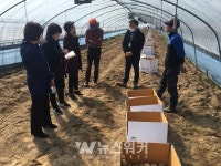 곡성군, 이슬머믄감자공선회 감자 출하 현장 찾아