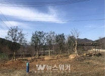 장흥군, 나무은행 사업 예산 절감 효과 톡톡