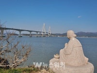무안군, 280년 된 팽나무... 허술한 관리에 보호받지 못하는 보호수