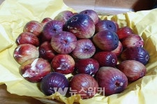 곡성군, 도농교류 촉진 위한 농산물 직거래 마케팅 지원