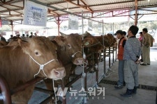 고흥군, 「코로나19」 축산농가의 어려움을 함께 나누는 정책 추진