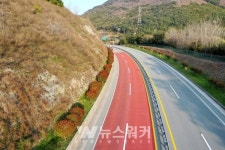 완도군, 국도13호선 불목~원동 구간 홍가시 등 8천주 식재