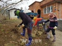 영암군 금정면, 아름다운 마을 조성 목수국300본 식재