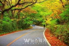 전남도, '해남 대흥사' 권역 옛 산사길 복원