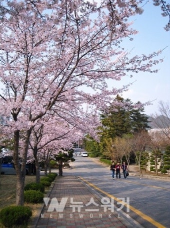 국립순천대, 고흥에 그린스마트팜 캠퍼스 개설. 총사업비 186억 원 투입, 청년인재 양성과 강소기업 육성 목표!