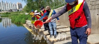 광산구, 영산강 등 55곳에 친환경 생태방역 실시
