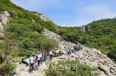 해남군, 코로나로 지친 마음... 싱그런 달마고도에서 힐링하세요
