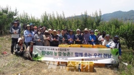 전남도의회, 매실 수확 구슬땀