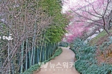 광양시, 남도의 부엌 테마코스 광양발효밥상 시범 운영