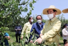 김영록 전남도지사, 농작물 우박 피해현장 긴급 점검