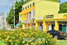 장성군 시골 마을, 옐로우 디자인으로 거듭나다