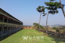 전남도, 깨끗한 축산농장 1천호 지정 나서
