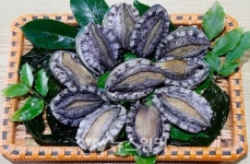 삼복더위에는 전복 8월 15일까지... 완도 전복 할인 판매