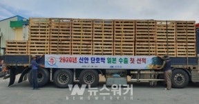 신안군, 해풍 맞은 신안 섬 단호박 일본에 수출