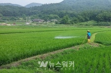 화순군, 여름철 재해 대비 농작물 기술 지원