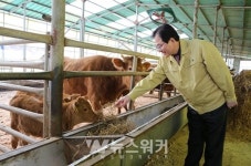 완도군, 완도자연그대로 한우 육질 평가 결과 우수