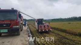 고흥군, 전국최초 조생종 벼 수확