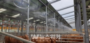 화순군, 장마철 가축 질병 등 위생관리 당부