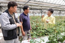 이승옥 강진군수, 제8호 태풍 바비 현장점검