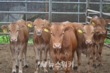 화순군, 친환경 축산과 고소득 축산을 꿈꾸다