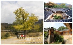 해남군, 제20회 고산문학축전 개최