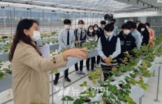 곡성군농업기술센터, 진로 직업 체험 학습장... 인기