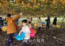 진도군, 올해 세 번째 농산물 직거래 팜파티 개최