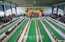 신안군, 2020 춘란 가을대전(大展)...전국 춘란(春蘭) 희귀 엽예품 한자리에 모여