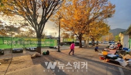 담양 대전면, 대전 오일장 활력 조성 행사 개최