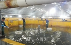 진도군 신기마을, 도시민 전남 어민되다 성공적 운영