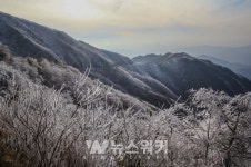 구례군, 12월 15일부터 지리산 노고단 도로 동절기 통행제한