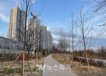 광주시, 영산강‧황룡강변... 100년 숲길 조성 됐다