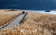 순천만국가정원·순천만습지, 3회 연속... 추천 웰니스 관광지 선정