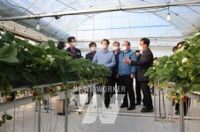 신안군, 청년농업인 경영실습 임대농장 개소