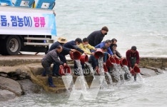 무안군, 수산종자 방류 사업 추진