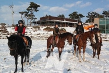 영광유소년승마단, 영광군에 영광사랑상품권 30만 원 기탁