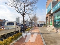 진도군, 컬러관목 식재로 생기 넘치는 도심 조성