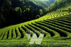 전남도, 한국관광 100선에 청정전남 관광지 7곳 선정