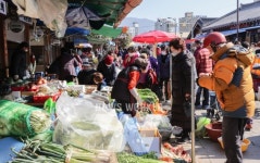 구례군, 구례5일시장 노후전선 전면교체