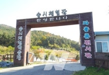 전남도, 행안부형 마을기업 19곳 선정…전국 최다
