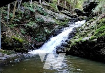 장흥군, 새롭게 단장한 유치자연휴양림에서 코로나19 극복하자