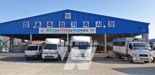 장흥군, 깨끗한 축산농장 지정... 155호 달성 가속 붙다