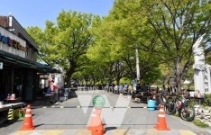 담양 관광명소 국수의 거리, 4월부터 차량 통행 제한