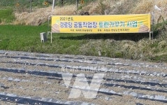 곡성군, 일하는 기쁨, 행복한 일터! 경로당 공동작업장에서