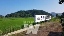 진도군, 들녘공동경영체 집중 육성