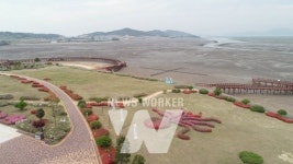 무안황토갯벌랜드, 바다공원에서 만나는 소자연 분재 전시