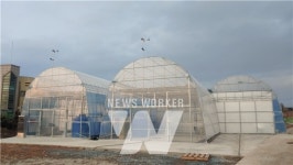 영암군, 2021년 청년 경영실습임대농장 임차인 추가모집(2차)