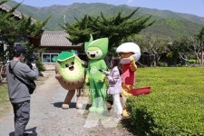 [포토뉴스] 보성 녹차밭에 BS삼총사가 떴다!