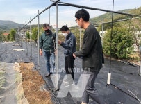 여수시, 영농철 원예작물 관리 현장기술 지원 나서