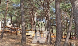 구례군, 지리산정원 솔숲 힐링쉼터 조성